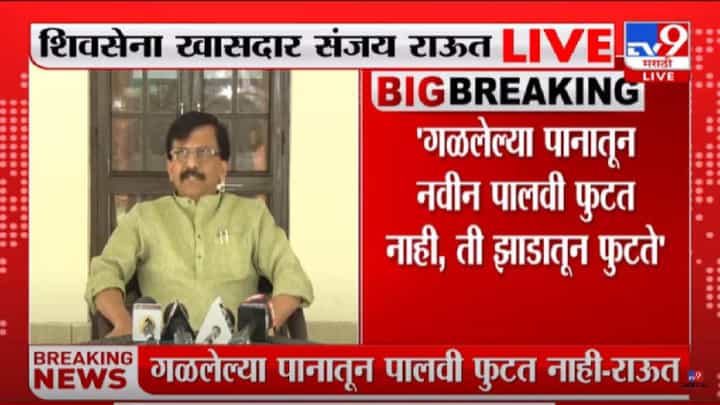 Sanjay Raut : गळून पडलेल्या पानातून नवीन पालवी फुटत नाही, ती झाडातून फुटते, त्यांनी अभ्यास करावा, शिवसेना नेते संजय राऊतांचा टोला Sanjay Raut : गळून पडलेल्या पानातून नवीन पालवी फुटत नाही, ती झाडातून फुटते, त्यांनी अभ्यास करावा, शिवसेना नेते संजय राऊतांचा टोला