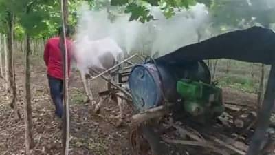 Success Story : ट्रॅक्टरचे काम बैलजोडीच्या माध्यमातून, 40 हजारात नंदी ब्लोअर; सोलापूरच्या शेतकऱ्याचा अनोखा जुगाड