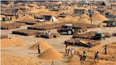 Market Committee : बाजार समित्यांनाही आता रॅंकिंग, शेतकऱ्यांना समजणार बाजार समित्यांचा कारभार...!