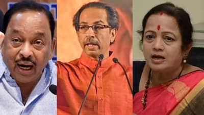 Shiv sena : राणेंनी खाल्लेल्या मिठाला जागावं, त्यांचा इतिहास रक्तरंजित, उद्धव ठाकरेंवरील जहरी टीकेला शिवसेनेचं जोरदार प्रत्युतर