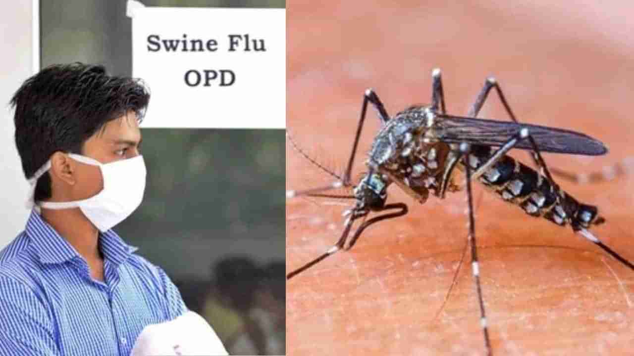 Dengue : मुंबईपाठोपाठ पुण्यात डेंग्यूचे रुग्ण वाढले, तर कोल्हापुरात स्वाइन फ्लूचे 4 बळी, 33 जणांना लागण