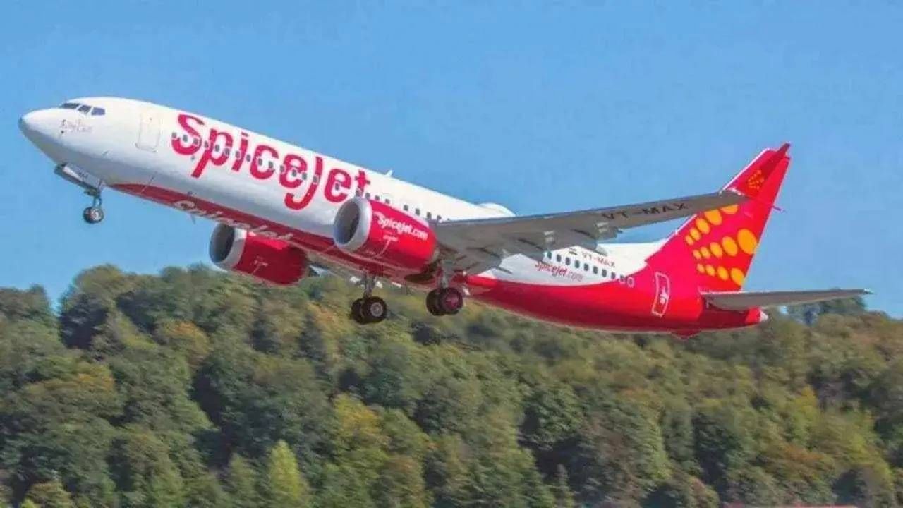 SpiceJet Flight Status : स्पाइसजेटचे पंख छाटले, 8 आठवडे 50 टक्के उड्डाणांवर बंदी; डीजीसीएचे आदेश