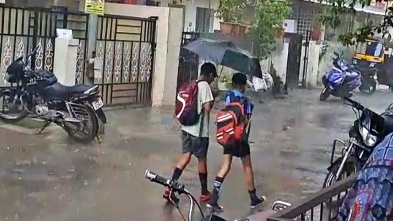 Monsoon Update : राज्यभरात पावसाची विश्रांती; 4 ऑगस्टपर्यंत स्थिती कायम राहण्याचा हवामान विभागाचा अंदाज