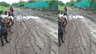 Aurangabad: औरंगाबादच्या नामांतरणाचा लढा न्यायालयात; जिल्ह्यातील तिघांकडून याचिका दाखल, एक ऑगस्टला सुनावणी