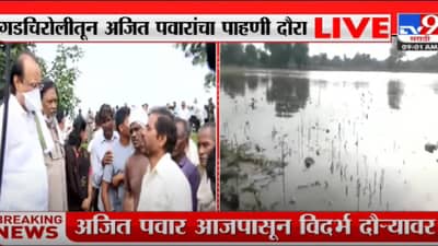 Vidarbha Farmer: आमच्याकडे लक्ष देणारं खरोखरच कुणी जन्मलेलं नाहीये अजूनही पाहणी करायला आलेल्या अजित पवारांसमोर शेतकऱ्यांची कैफियत