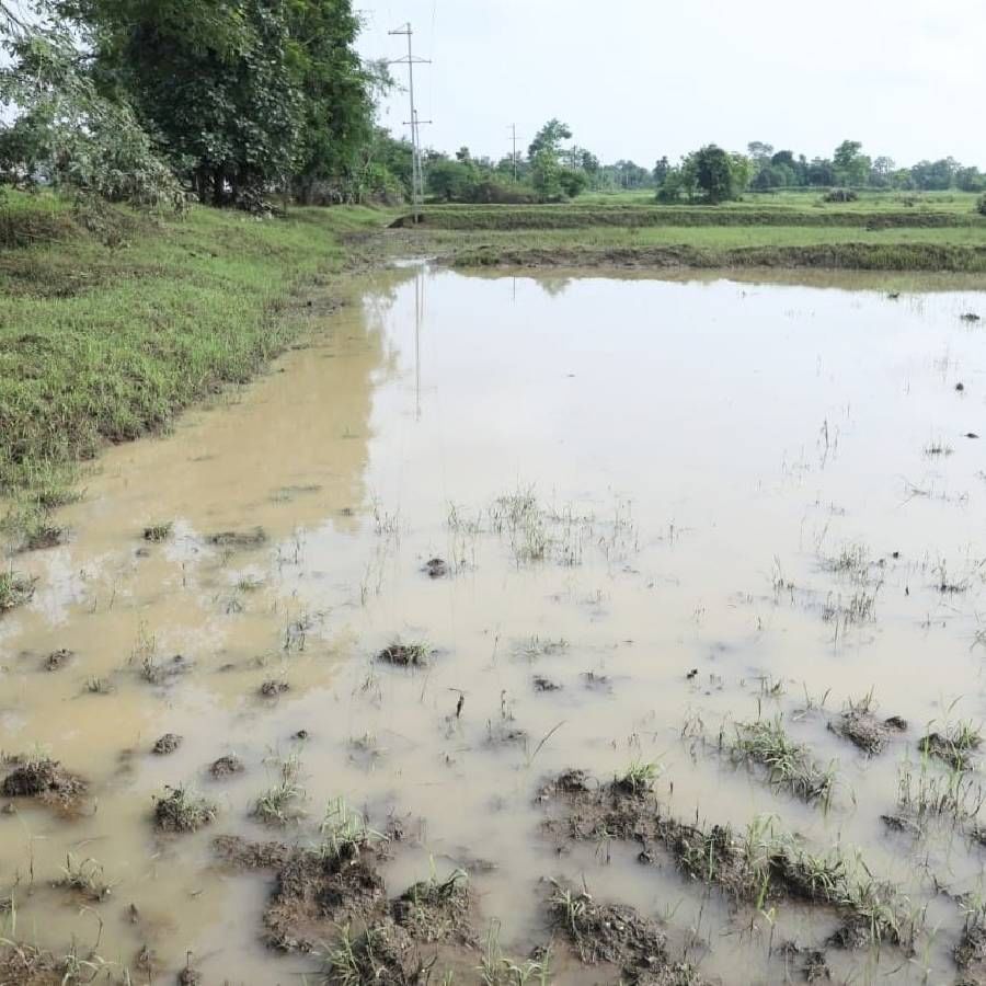 महाराष्ट्राच्या ग्रामीण भागातील शेतकऱ्यांची कर्जासाठी आणि कर्जाच्या परतफेडीसाठी किती कसरत होते, हे यानिमित्तानं पाहायला मिळालं.
