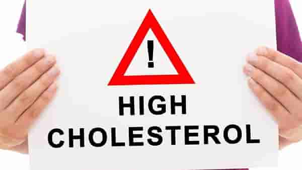 High Cholesterol : काम करताना हात सतत दुखतो? हे असू शकते वाढत्या कोलेस्ट्रॉलचे लक्षण