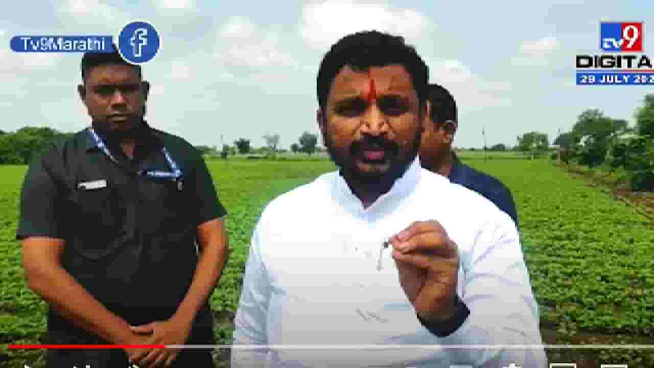 Amol Mitkari on Fadnavis | फडणवीस म्हणजे मुंह मे राम और बगल मे छुरी, अमोल मिटकरी यांनी घेतला समाचार Amol Mitkari on Fadnavis | फडणवीस म्हणजे मुंह मे राम और बगल मे छुरी, अमोल मिटकरी यांनी घेतला समाचार