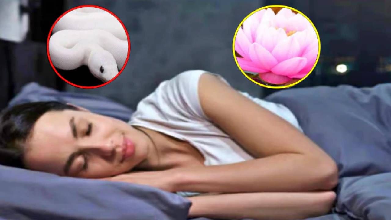 Dream Astrology: झोपेत पडत असतील असे स्वप्न तर होऊ शकते कुबेराची कृपा Dream Astrology: झोपेत पडत असतील असे स्वप्न तर होऊ शकते कुबेराची कृपा