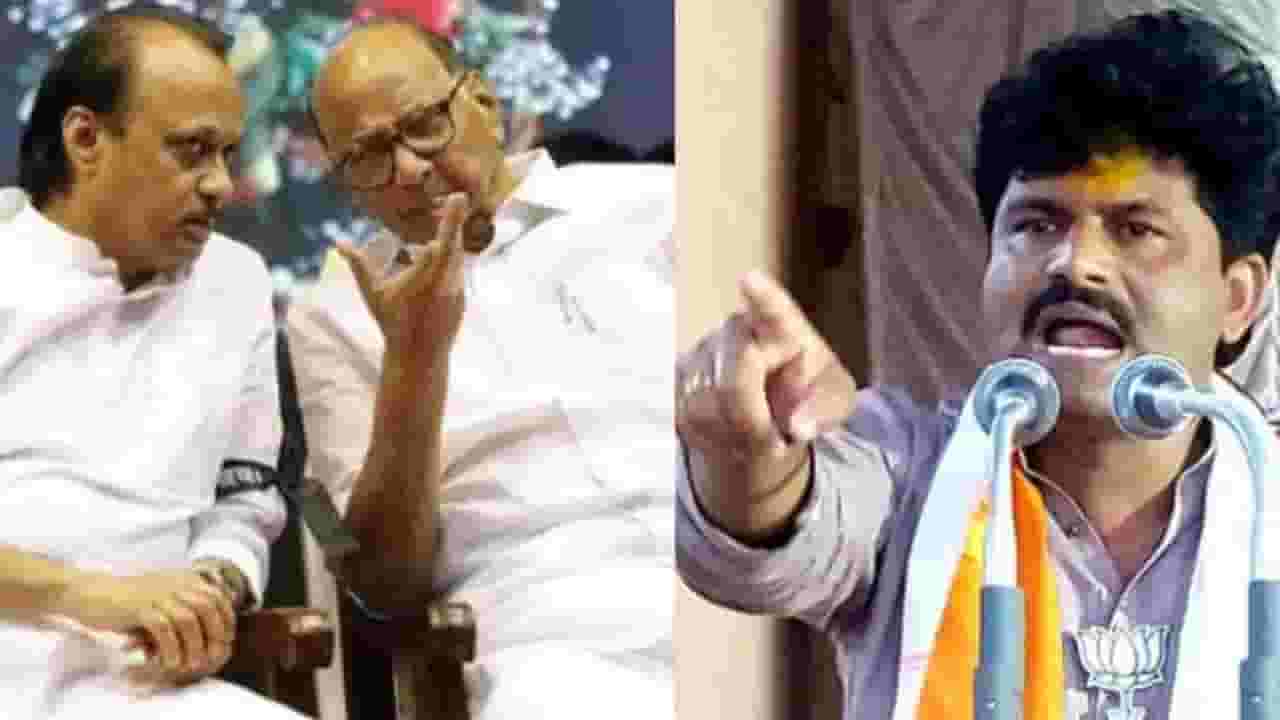 घराणेशाहीला डावलत मोदींनी शिंदेना मुख्यमंत्री केलं, म्हणून पवार-काका पुतण्यांच्या पोटात दुखतंय- गोपीचंद पडळकर