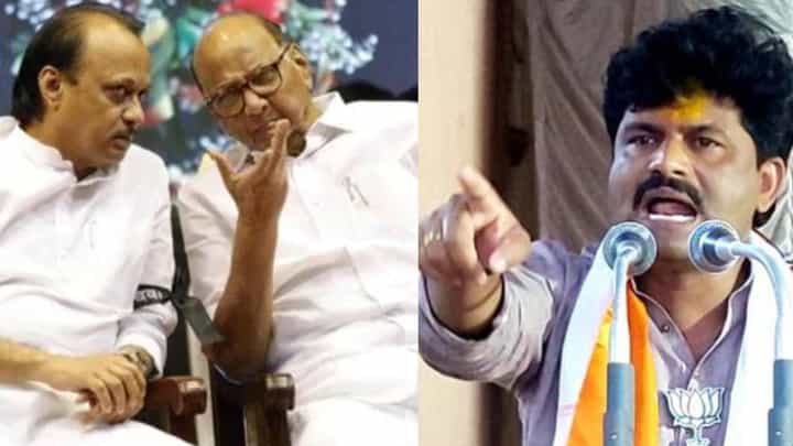 घराणेशाहीला डावलत मोदींनी शिंदेना मुख्यमंत्री केलं, म्हणून पवार-काका पुतण्यांच्या पोटात दुखतंय- गोपीचंद पडळकर घराणेशाहीला डावलत मोदींनी शिंदेना मुख्यमंत्री केलं, म्हणून पवार-काका पुतण्यांच्या पोटात दुखतंय- गोपीचंद पडळकर