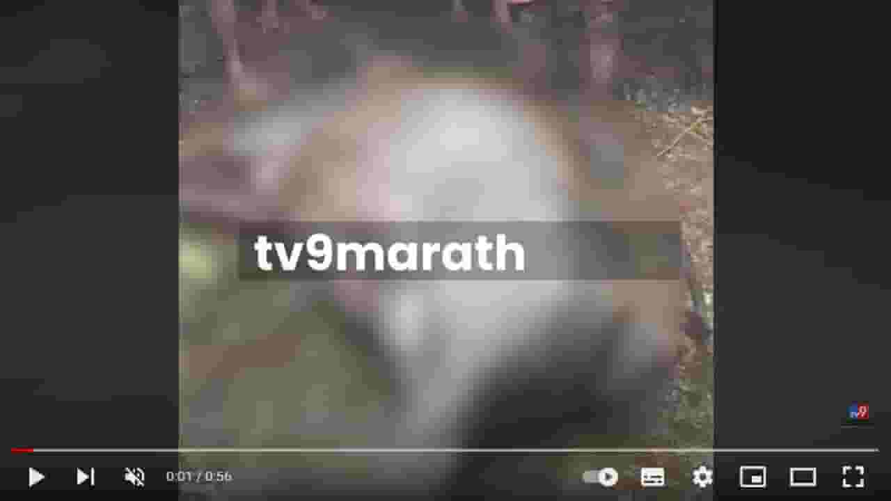 Pune Velha Animal Death | चांदर गावात 30 जनावरांचा मृत्यू, तात्काळ पंचनामे करण्याची मागणी Pune Velha Animal Death | चांदर गावात 30 जनावरांचा मृत्यू, तात्काळ पंचनामे करण्याची मागणी