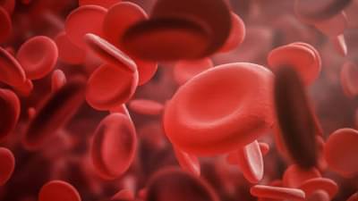 Health | या एका खास गोष्टीचा आहारात समावेश करा आणि हिमोग्लोबिनची कमतरता कायमची दूर करा!