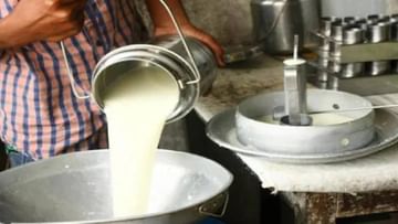 Milk Production : दूध दर वाढले अन् उत्पादन घटले..! आता एकाच पर्यायावर शेतकऱ्यांची भिस्त