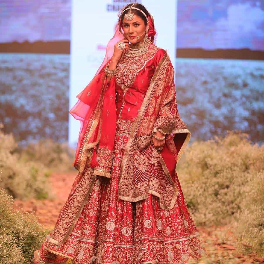 शहनाज गिलला आपण सर्वांनी बिग बॉसमध्ये पाहिले होते, मुळात ती पंजाबमधील अभिनेत्री आणि गायिका आहे. बिग बॉस 13 मधील त्याची मनोरंजक शैली सर्वांनाच आवडली. सिद्धार्थ शुक्लासोबतच्या तिच्या जोडीने बिग बॉसचा सीझन खूप हिट झाला, बिग बॉस 13 चा टीआरपी शहनाज आणि सिद्धार्थमुळे खूप जास्त होता.