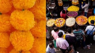 Inflation | महा’गाई’राष्ट्र! भाऊ, महागाईत आपला महाराष्ट्र कितव्या स्थानी, माहिती आहे का?