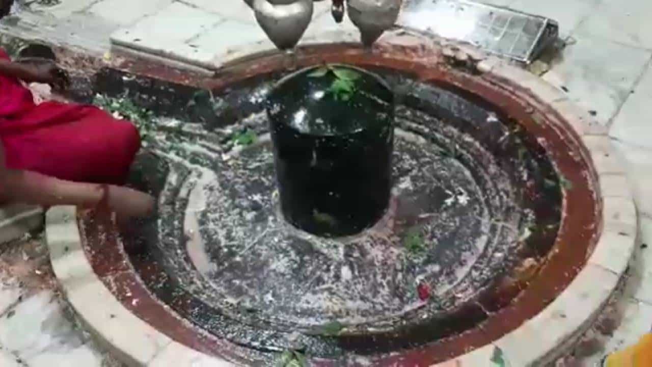 परळीतील प्रभू वैजनाथ मंदिरात भाविकांची मांदियाळी, ठाण्यातील कोपेश्वर मंदिरात आकर्षक फुलांची सजावट