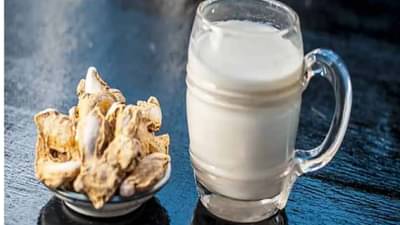 Health | आल्याच्या दूधाचा दररोजच्या आहारात समावेश करा आणि आरोग्याच्या अनेक समस्या दूर करा!