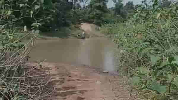 Gondia Flood : गोंदियातील चुमली नदीत पुन्हा गेला एकाचा जीव, जीवघेणा प्रवास केव्हा संपणार, नागरिकांचा सवाल