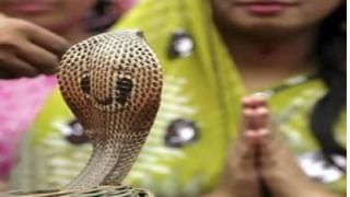 Nag Panchami 2022 : नाग देवतांच्या ‘या’ मंदिरांमध्ये केवळ दर्शनाने काल सर्प दोष होतो दूर; सर्व मनोकामना होतात पूर्ण!