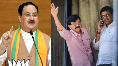 Sanjay Raut : जे पी नड्डा काय देशाचे गॉडफादर? धाडीची हकीकत सांगताना संजय राऊतांच्या भावाचा संतप्त सवाल