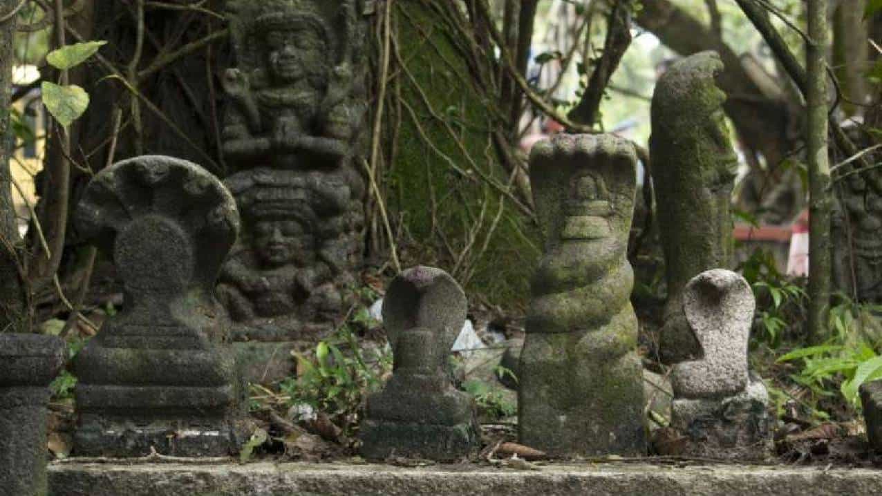 आज श्रावण महिन्यातील शुक्ल पक्षातील पाचवी तिथी आहे. इंग्रजी दिनदर्शिकेनुसार आज म्हणजेच 2 ऑगस्ट, मंगळवारी नागपंचमी आहे. या दिवशी दुधाने अभिषेक करून नागदेवतेची पूजा केली जाते. भगवान शिवशंकरांनी गळ्यात नाग धारण केला आहे, त्यामुळे या दिवशी नागासह भगवान शिवाची पूजा करावी. पौराणिक काळापासून नागांची देवाप्रमाणे पूजा केली जाते. नागपंचमीच्या दिवशी नाग देवतेची पूजा केल्याने सर्व मनोकामना पूर्ण होतात, असंगी मान्यता आहे. तसेच नागपंचमीच्या दिवशी केलेल्या पूजेने राहू-केतू आणि कालसर्प दोष यांच्या वाईट प्रभावापासून मुक्ती मिळते.