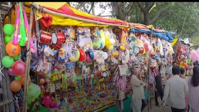 सांगलीत नागपंचनमीचा उत्साह, जिवंत नागाची पूजा करता यावी, नागरिकांची मागणी