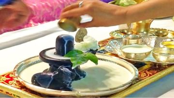 Shravan 2022: भगवान शंकराची कृपा प्राप्त करण्याचा अत्यंत सोपा उपाय, पूजेदरम्यान या झाडाचे मूळ करा अर्पण 