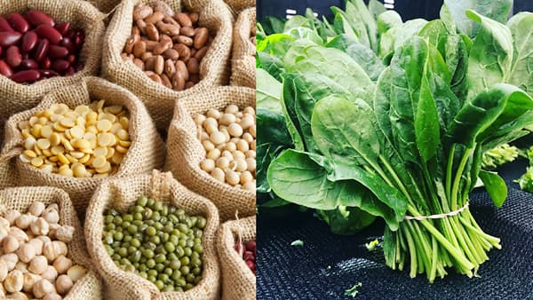 Health Tips: ही लक्षणे दर्शवतात शरीरातील लोहाची कमतरता, या 3 पदार्थांचा करा आहारात समावेश !