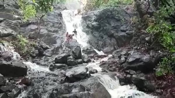 Vasai Youth Drowned : घरी न सांगता पिकनिकसाठी आले होते तरुण, पाण्याचा अंदाज न आल्याने चिंचोटी धबधब्यात बुडून एकाचा मृत्यू