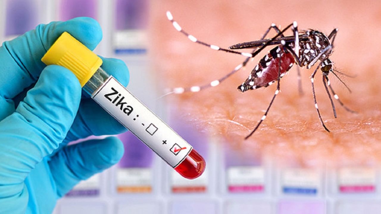 Zika virus: शास्त्रज्ञांनी शोधला ‘झिका व्हायरस’ शोधूण काढणारा नवीन स्मार्टफोन ‘क्लिप-ऑन’ ;जाणून घ्या, काय आहे संशोधन! Zika virus: शास्त्रज्ञांनी शोधला ‘झिका व्हायरस’ शोधूण काढणारा नवीन स्मार्टफोन ‘क्लिप-ऑन’ ;जाणून घ्या, काय आहे संशोधन!