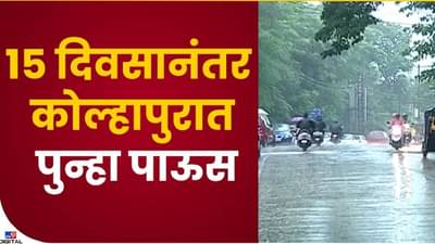 Kolhapur : 15 दिवसांच्या उघडीपीनंतर पुन्हा पावसाची दमदार हजेरी