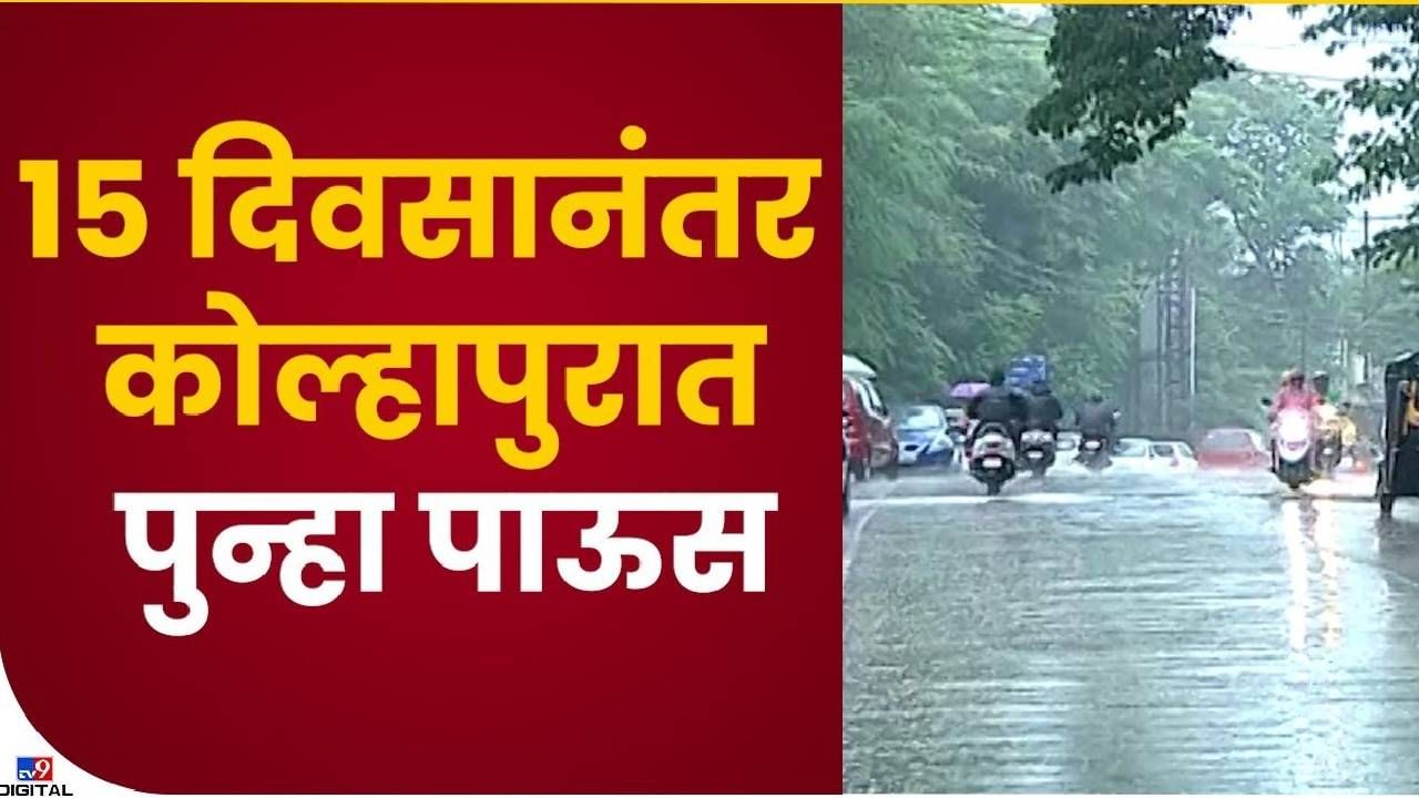 Kolhapur : 15 दिवसांच्या उघडीपीनंतर पुन्हा पावसाची दमदार हजेरी