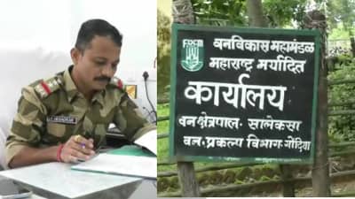 Gondia Teak Smuggling : गोंदियात ट्रॅक्टरने सुरू होती सागवानाची अवैध तस्करी, वनपरिक्षेत्र अधिकाऱ्यावर फर्निचर मार्ट मालकाचा जीवघेणा हल्ला