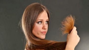Hair Care Tips : दुभंगलेल्या केसांपासून सुटका हवी असेल तर वापरा 'हे' होममेड हेअर मास्क