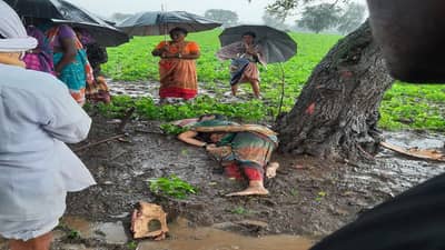 Buldhana : वीजेच्या धक्क्याने महिलेसह दोन बैलांचा मृत्यू, बुलढाणा जिल्ह्यात पावसाचे थैमान