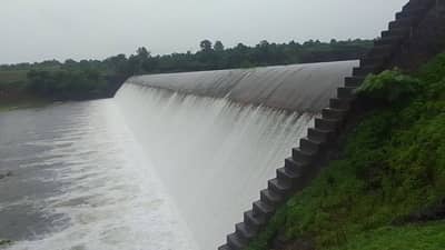 Washim Rain | वाशिम जिल्हात अतिवृष्टीमुळे शेतकऱ्यांचे मोठे नुकसान, खासदार आणि आमदार बांधाकडे फिरकलेही नाही