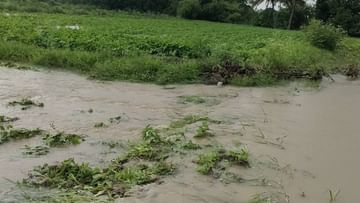 Osmanabad : काय सांगता..? आगाऊ रकमेचा शेतकऱ्यांना मिळणार फायदा..! काय आहे पीक विमा योजनेत तरतूद?