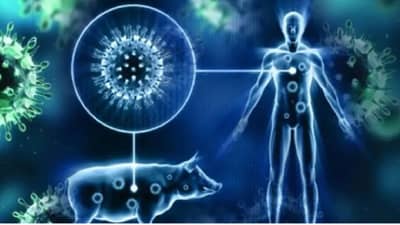 Nagpur swine flu : नागपुरात 8 दिवसांपासून स्वाईन फ्लूच्या रुग्णांची वाढती संख्या, आतापर्यंत 75 रुग्ण सापडले, प्रतिबंधासाठी 5 हजार इन्फल्यूएंझा लसमात्रा