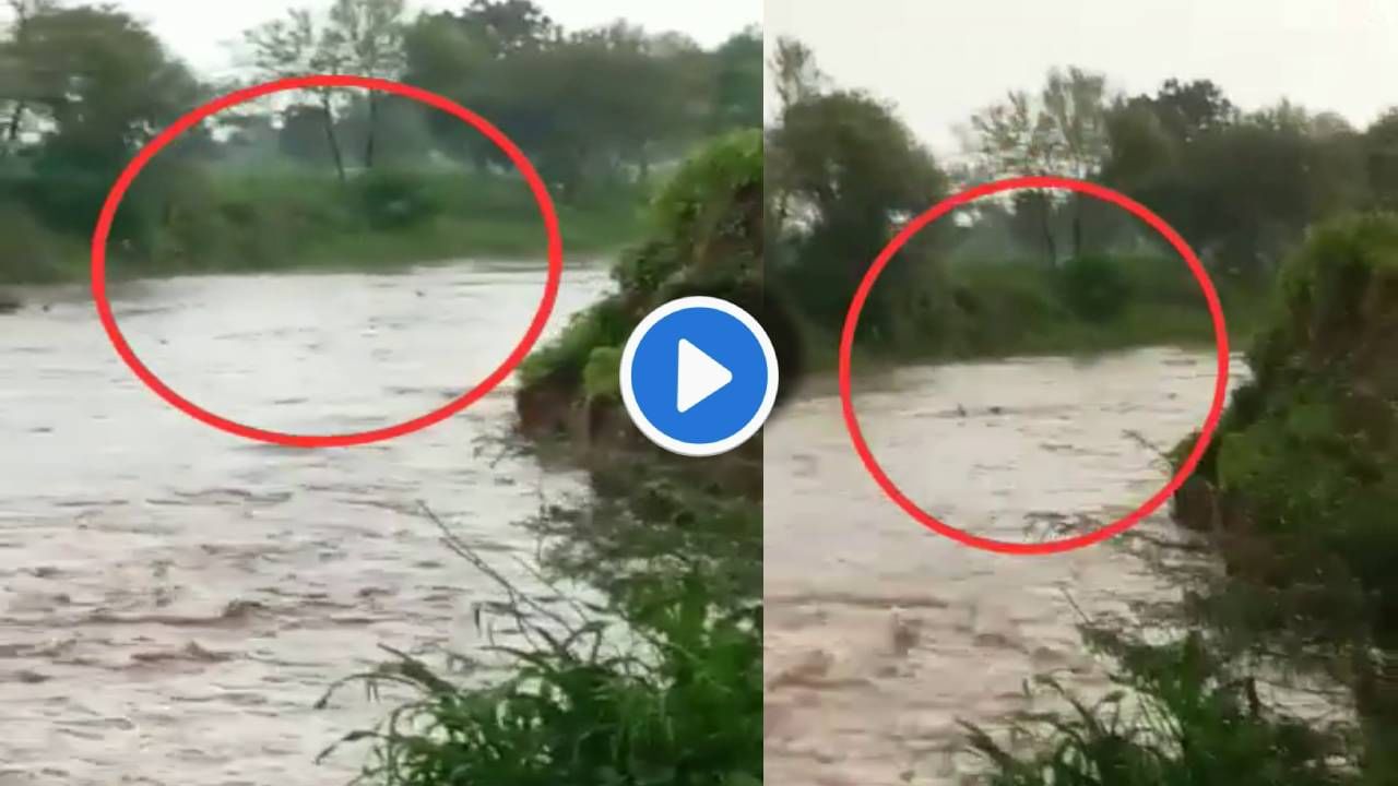 Aurangabad Drowned : औरंगाबादमध्ये पुराच्या पाण्यात वाहून गेल्यानं तरुणाचा बळी! थरारक व्हिडीओही समोर
