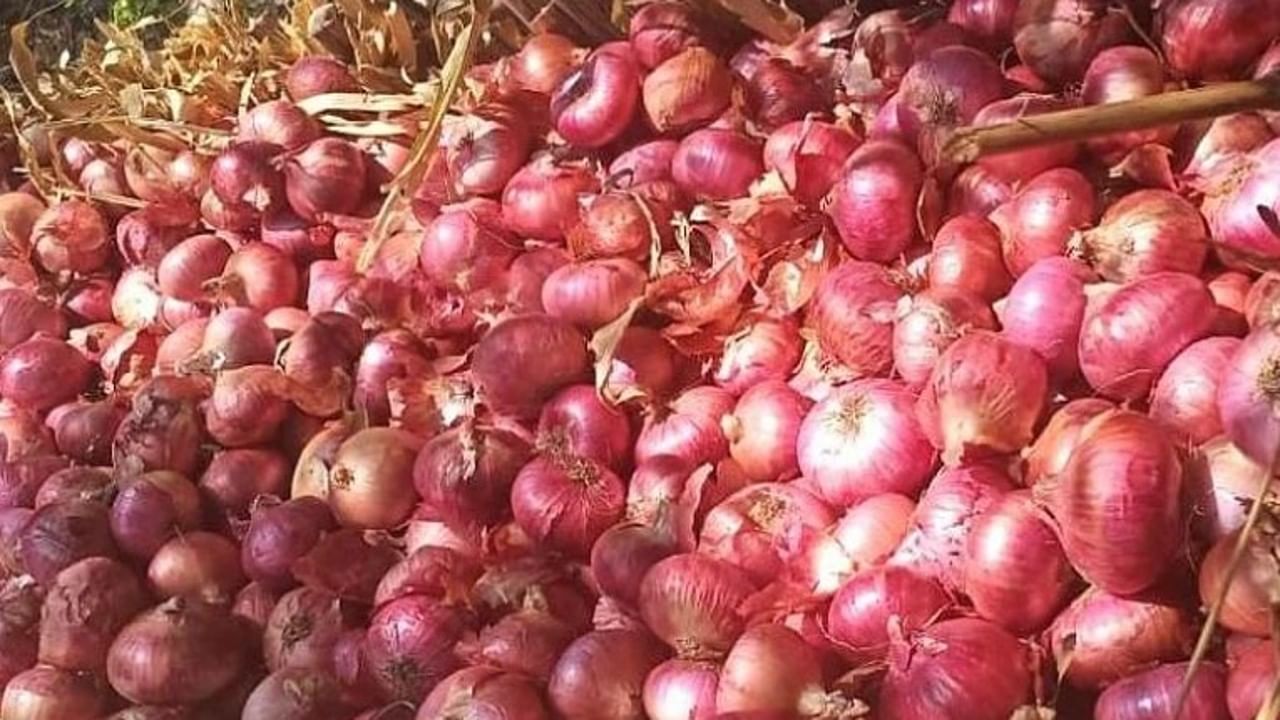 Onion rate : कांद्याचे दर घसरले; भावात 19 टक्क्यांची घट, शेतकऱ्यांच्या अडचणीत वाढ