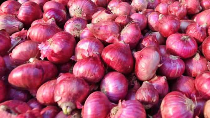 Health Tips : आसू आणणारा कांदा तुमच्या जीवनात पेरेल खरे हसू..! हृदयापासून केसांपर्यत कसा आहे पोषक? वाचा फायदे...
