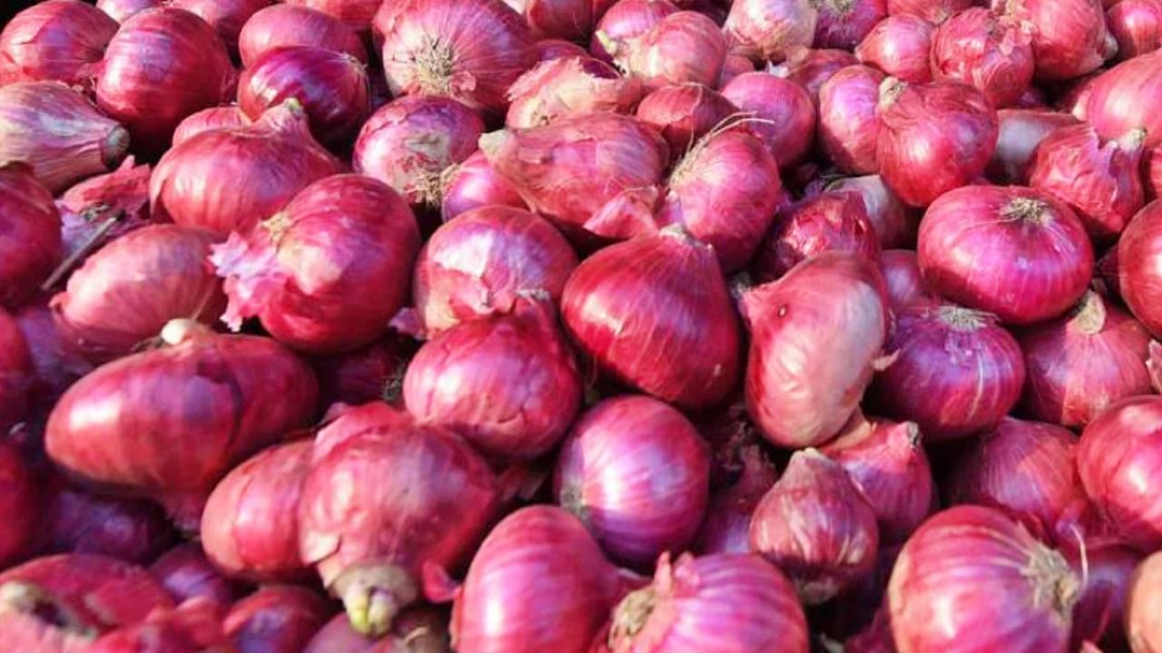 Onion Rate : कांद्याचा वांदाच..! खरिपात झाले तेच रब्बीत, कांदा दरातील घसरणीमुळे शेतकरी हतबल