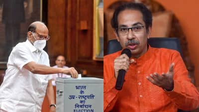 Vice President Election : 83 वर्षाचे पवार मतदानाला पोहोचले, मात्र ठाकरेंकडील अर्ध्या खासदारांची दांडी, उपराष्ट्रपतीपदाच्या मदतानावेळी काय घडलं?