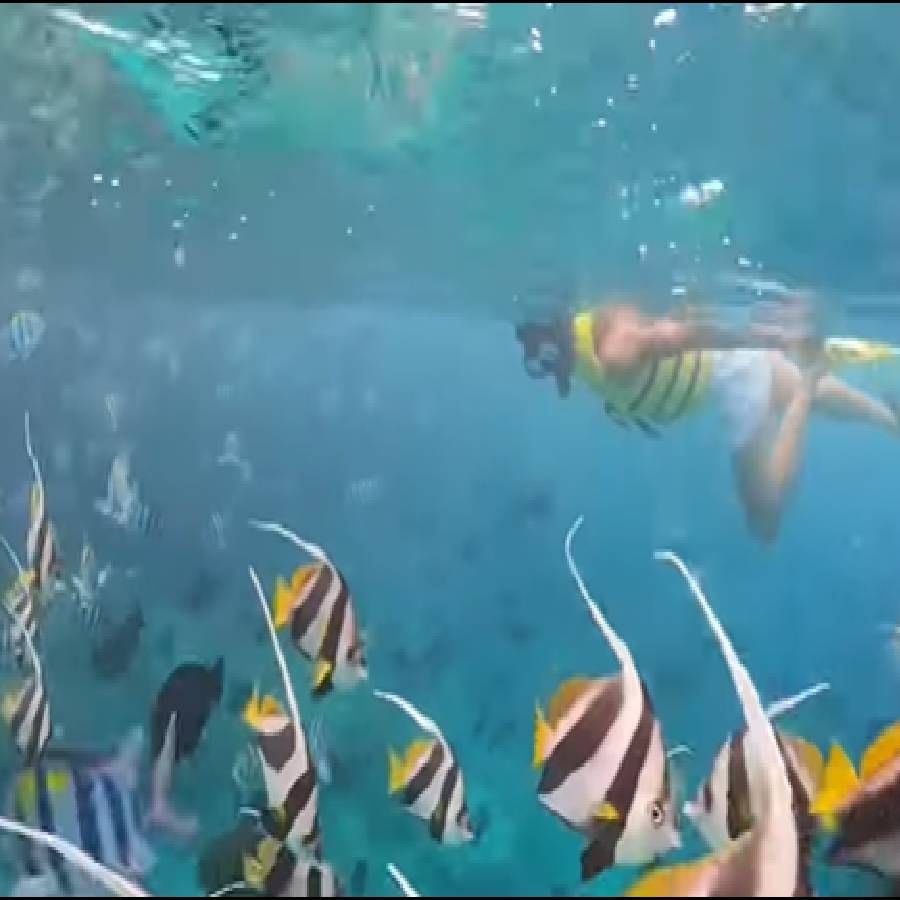 सुष्मिता सेनने एक व्हिडिओ शेअर केला आहे. यामध्ये ती स्कुबा डायव्हिंग करताना दिसत आहे. रंगीबेरंगी मासे पाण्यात पोहताना दिसतात. तिचा हा व्हिडिओ शेअर करत सुष्मिताने एक लांबलचक नोट लिहिली आहे.
