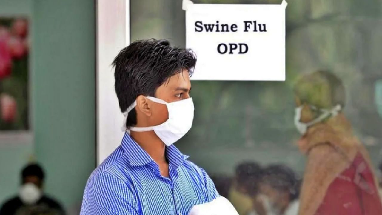 Swine Flu : पुण्यात वाढतेय स्वाइन फ्लूच्या रुग्णांची संख्या, 4 दिवसांत 131 रुग्ण! गर्दीत जाणं टाळण्याचं आवाहन