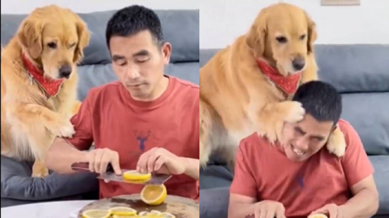 Dog Viral Video: लिंबू तोंडात टाकल्या टाकल्या कुत्रं म्हणालं, बाई बाई...काये हे!, लोकांच्या पसंतीस पडलेला व्हिडीओ!