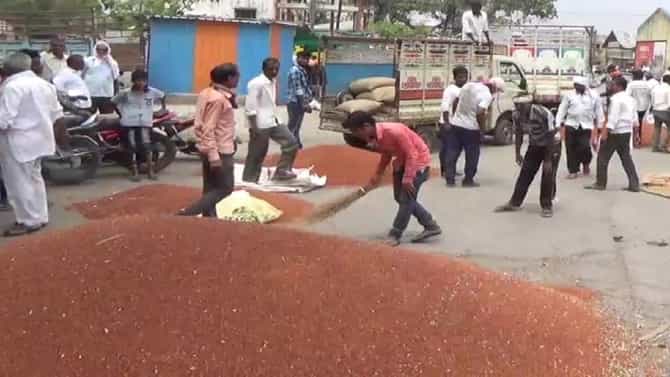 Latur Market : हंगामाच्या अंतिम टप्प्यात तुरीचा बोलबाला, सोयाबीनला उतरती कळा