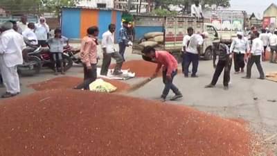 Latur Market : हंगामाच्या अंतिम टप्प्यात तुरीचा बोलबाला, सोयाबीनला उतरती कळा