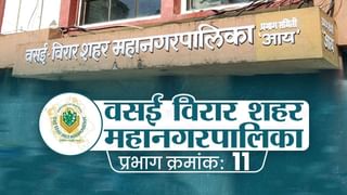 अगं अगं म्हशी… लोकलखाली म्हैस आल्याने मुंबईहून पुण्याकडे जाणारी रेल्वे वाहतूक विस्कळीत